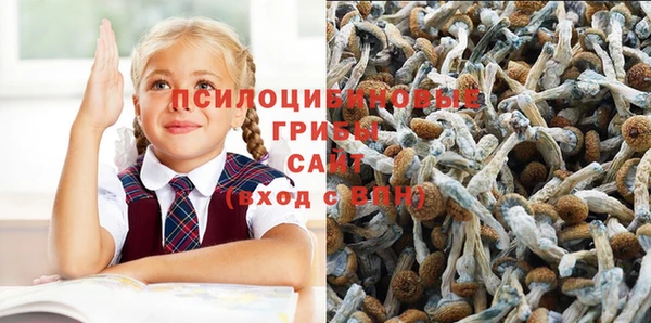 Альфа ПВП Абаза