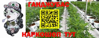 ГАЛЛЮЦИНОГЕННЫЕ ГРИБЫ Отрадное