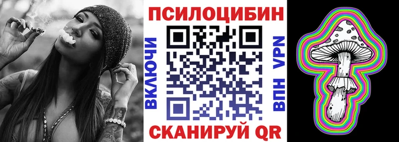 Псилоцибиновые грибы Psilocybe  где купить наркотик  дарк нет формула  Протвино  blacksprut  