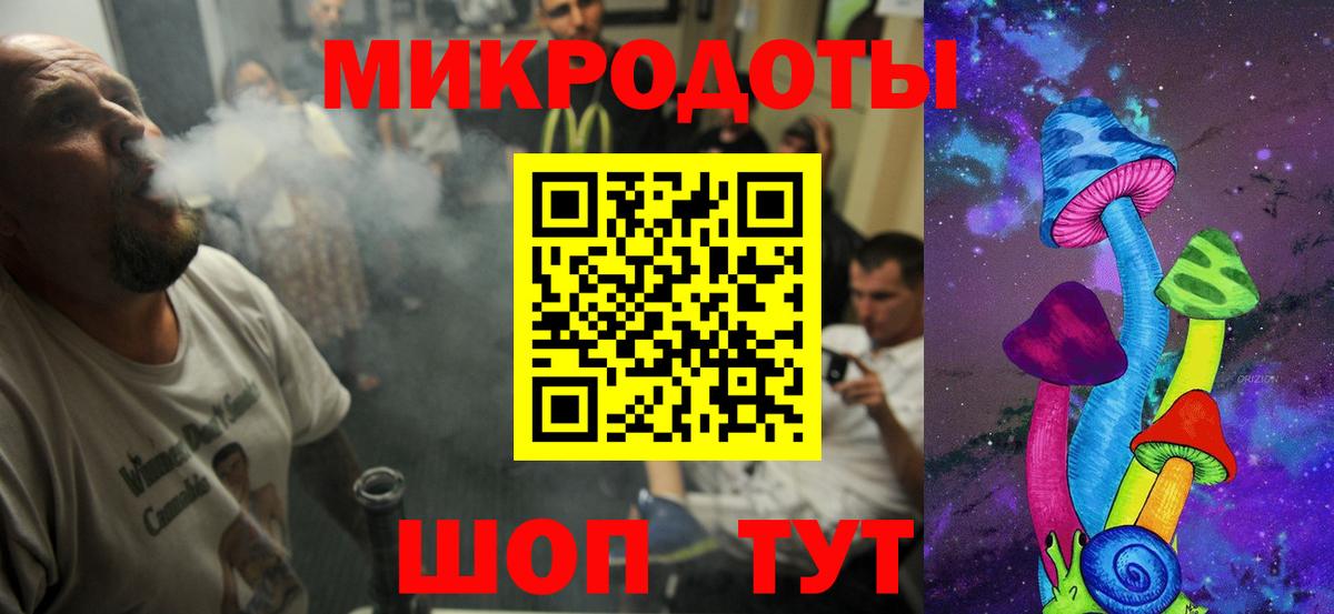 Псилоцибиновые грибы Psilocybe  Псилоцибиновые грибы прущие грибы  Вход с VPN  Протвино 