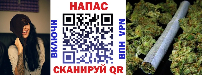 Бошки марихуана сатива  Протвино 